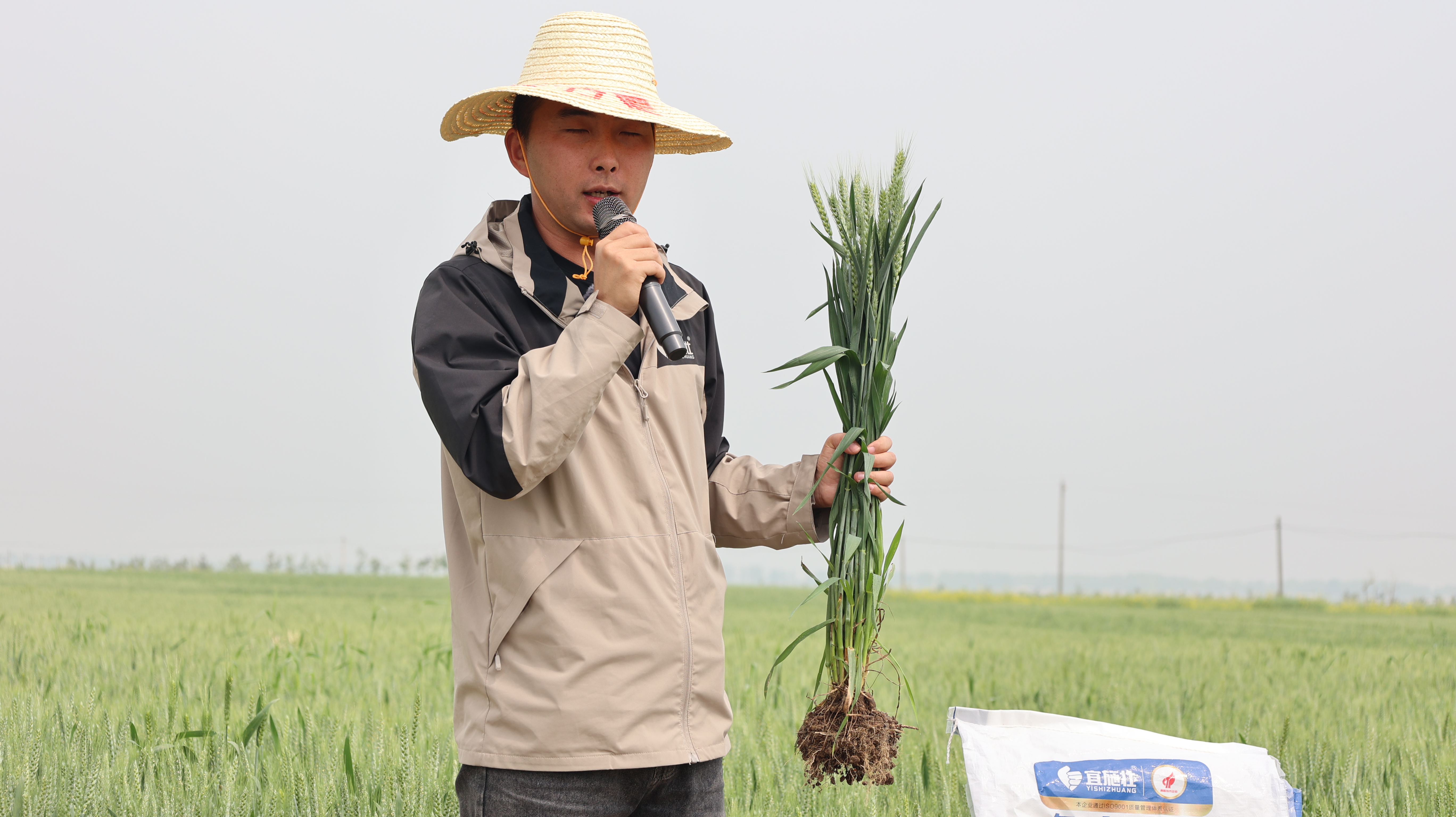 揭秘高产秘诀：邓州超级产粮大县的科学施肥之道